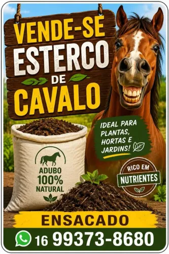 Esterco de cavalo ensacado