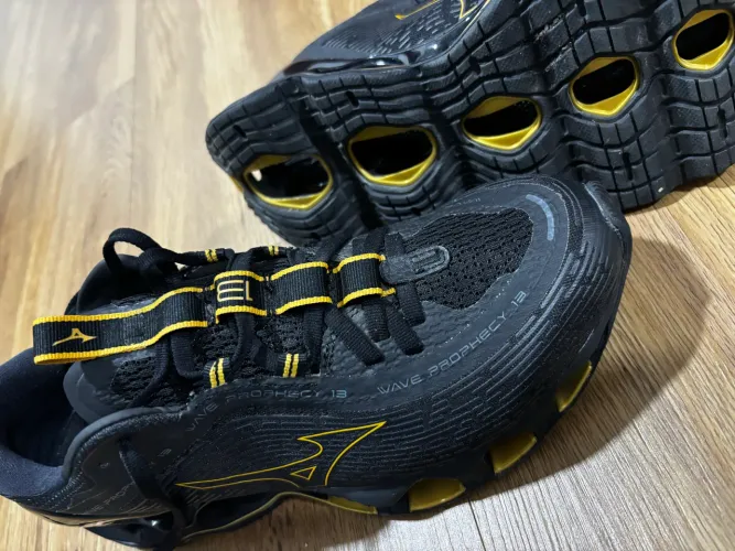 Mizuno prophecy 13