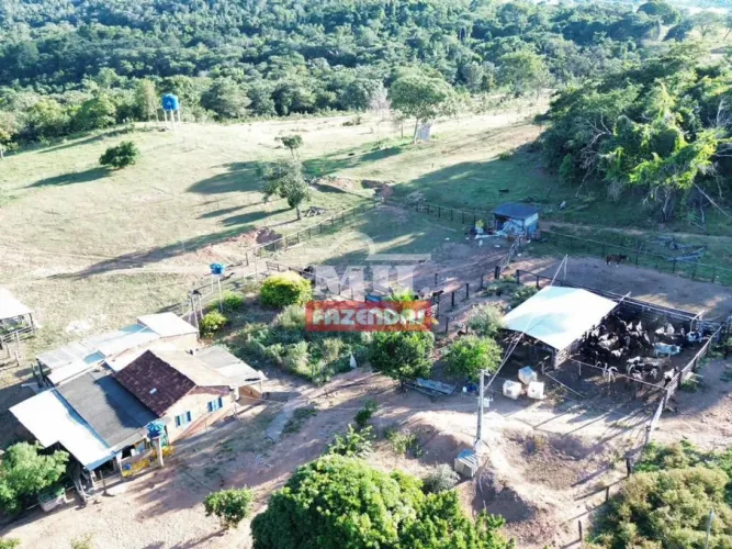 Fazenda 28 alqueires (135 hectares) Caçu - GO