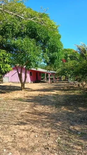 Vende-se um sítio em Rorainópolis RR na vicinal 42 com 50 hectares!