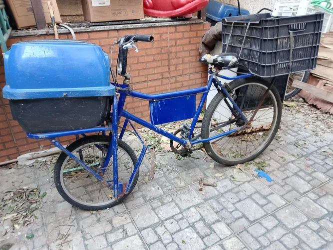 Bicicleta de carga