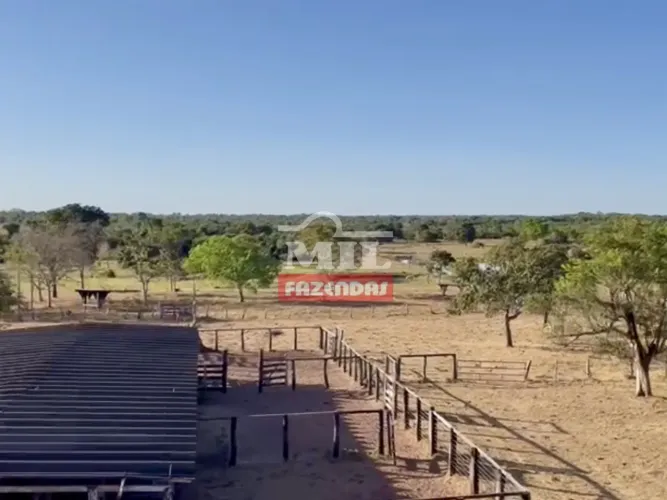 Fazenda de 103 alqueires (498 hectares) em Nova Crixás - Go. Oportunidade Única