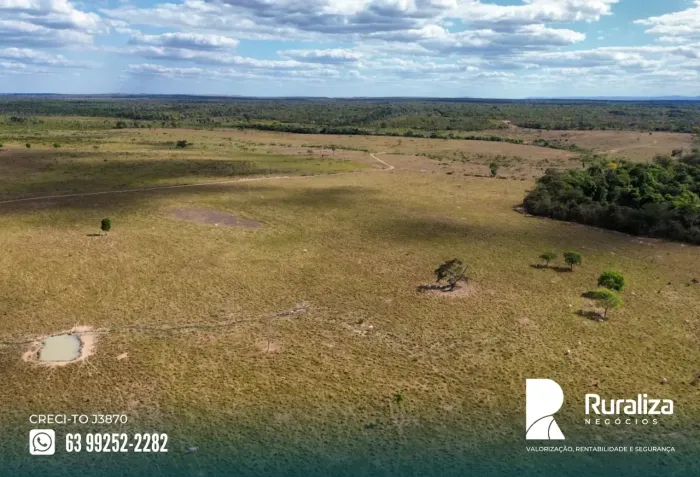 FAZENDA 470 ALQUEIRES | 1.250 HA AGRICULTÁVEIS | RIO TOCANTINS