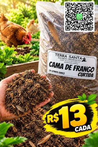 CAMA DE FRANGO CURTIDA, PRONTA PARA O USO EM CANTEIROS E HORTAS