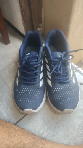 Sapatos masculino 