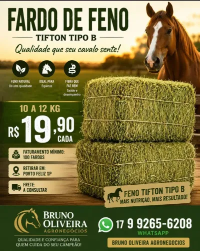 Fardo feno Tifton tipo B