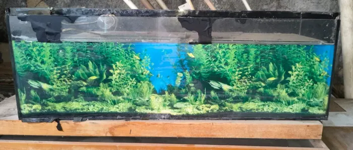 Vendo aquário de vidro