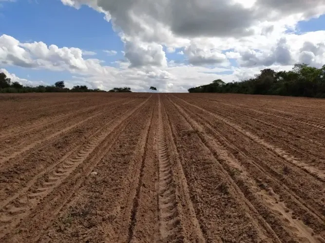 VENDO SITIO DE 5,45 HECTARE DE TERRA