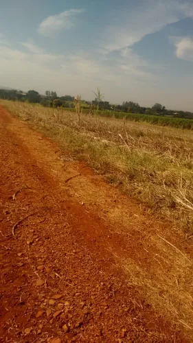 Sítio de 03 Alqueires em Laranjal Paulista - SP