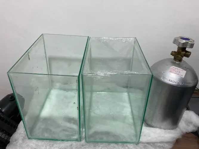 Aquário com cilindro CO2 para plantas