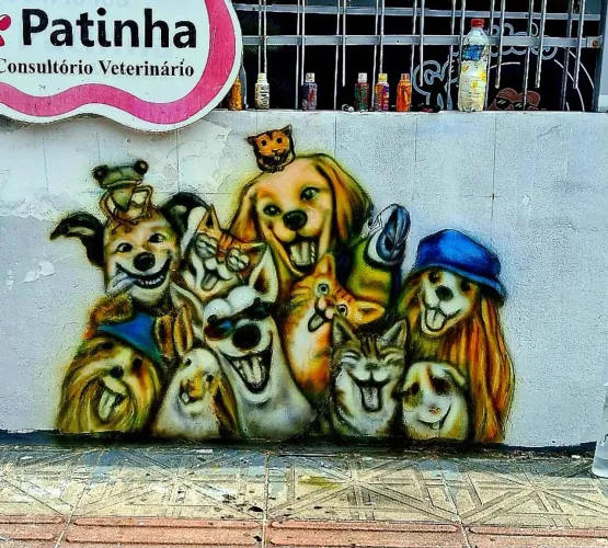 Grafites, letreiros, desenhos 3D, paisagens. 