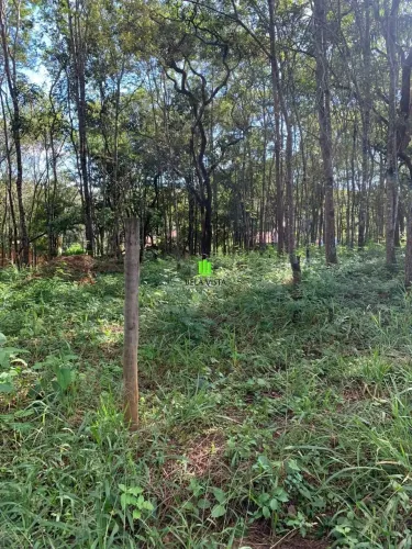 Lotes em Condomínio em Canto Do Riacho.