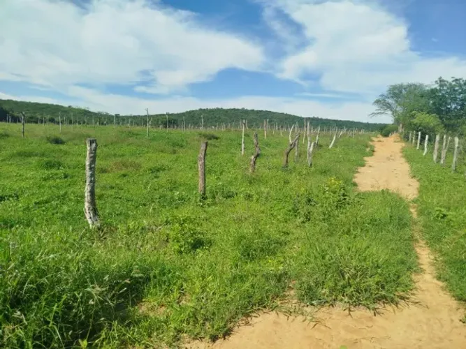 ÁREA RURAL À VENDA - ANAGÉ/BA