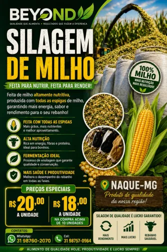 Silagem de milho