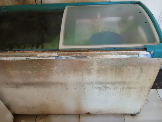 Freezer horizontal