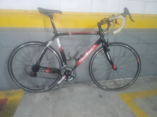Bike Speed Willier - Lá Triestina - L