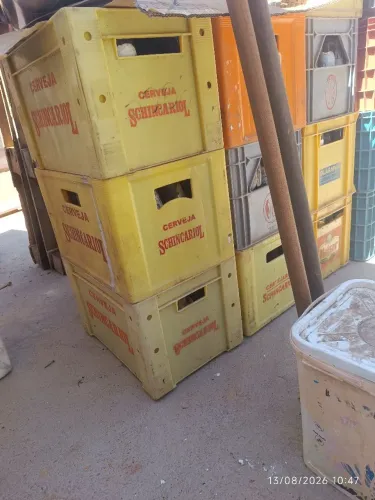  10 engradados de cerveja 600ml