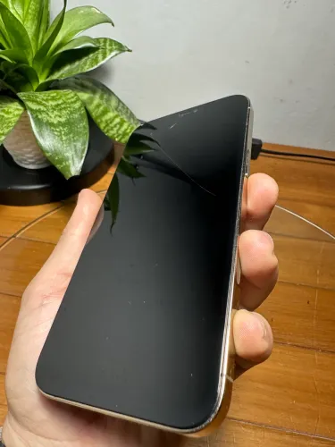 iPhone 12 Pro Max 256G 