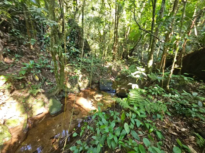 Terreno de 23 mil metros próximo a Juquitiba