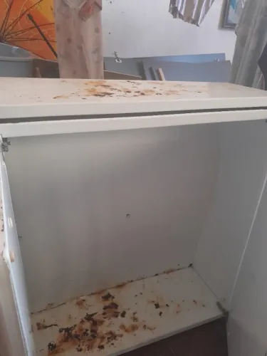 Vendo armario usado 50 reais