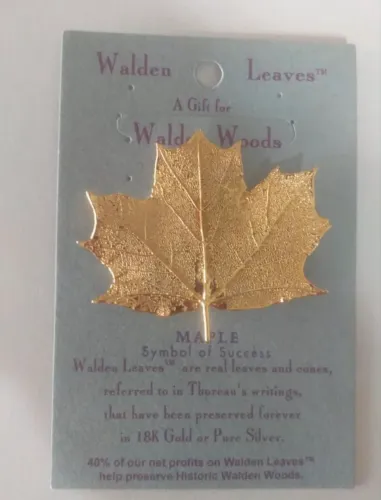 Broche folha natural com ouro 18k