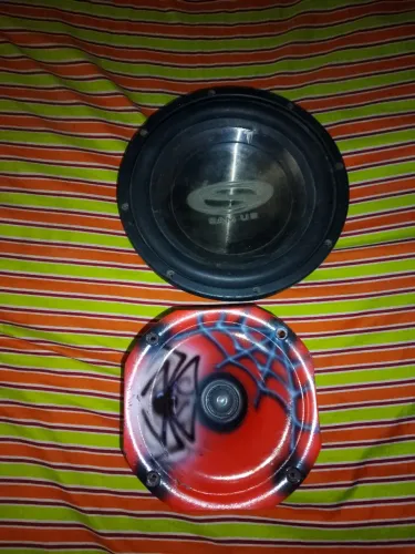 Conjunto de um auto falante 10" e uma corneta tudo funcionando