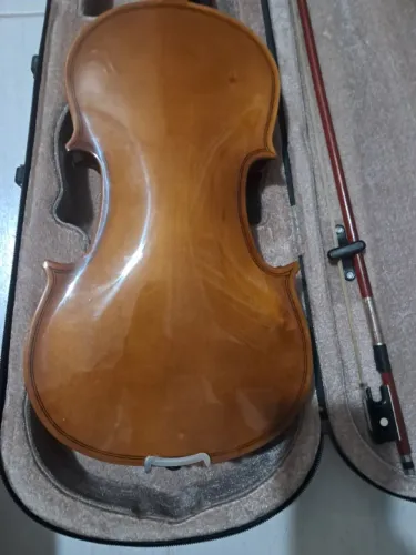 Violino 