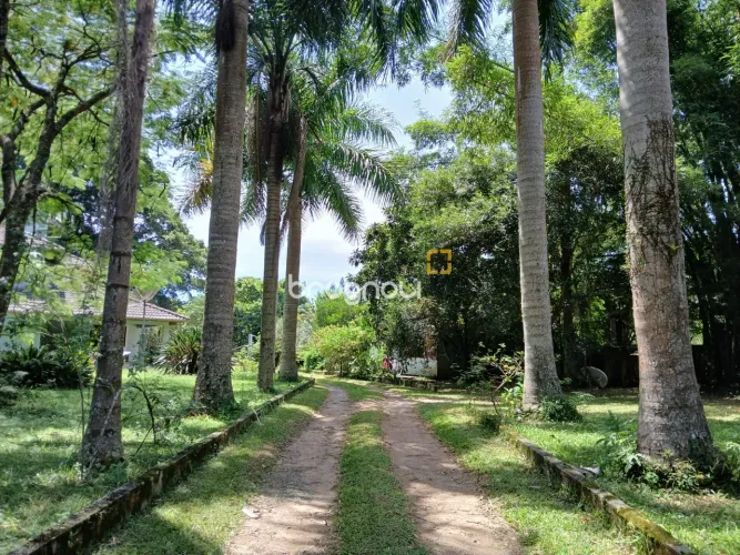 Sitio em Ratones