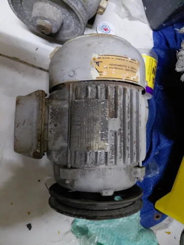 Motor de indução trifásico 1.5cv 2 polos