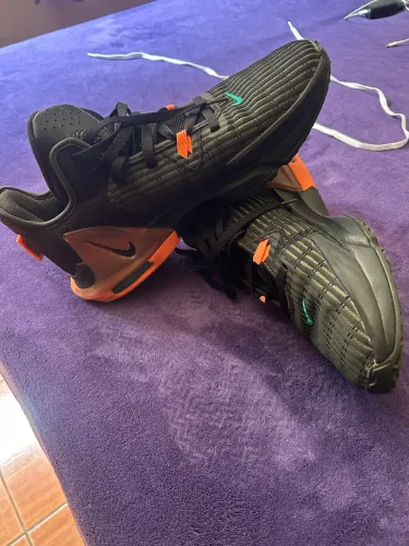 Nike Lebron witness 5