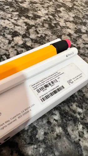 Apple Pencil 2ª Geração - Semi Nova + Brinde