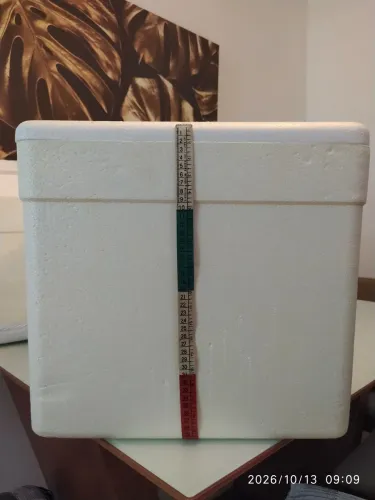 2 caixas de isopor para conservar alimentos