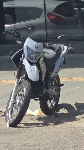 Bashan Bull Bm-T 180