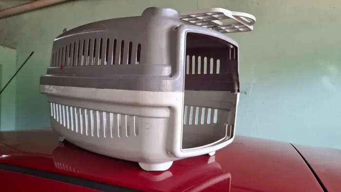 2 caixas de transporte animal N2