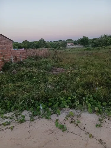 Vende se terreno bairro sitio coaçu entereçado entra em contato *19