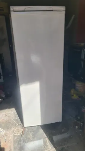 Frizer Electrolux 320L 