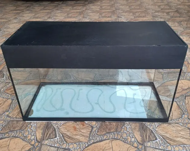 Aquário 