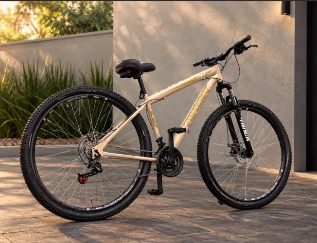 Bicicleta aro 29 completinha