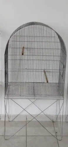 Viveiro 1 (Obs: Leia a descrição do anúncio)