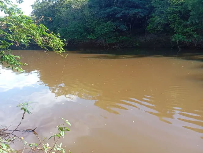 Fazenda a beira do rio Jequitaí