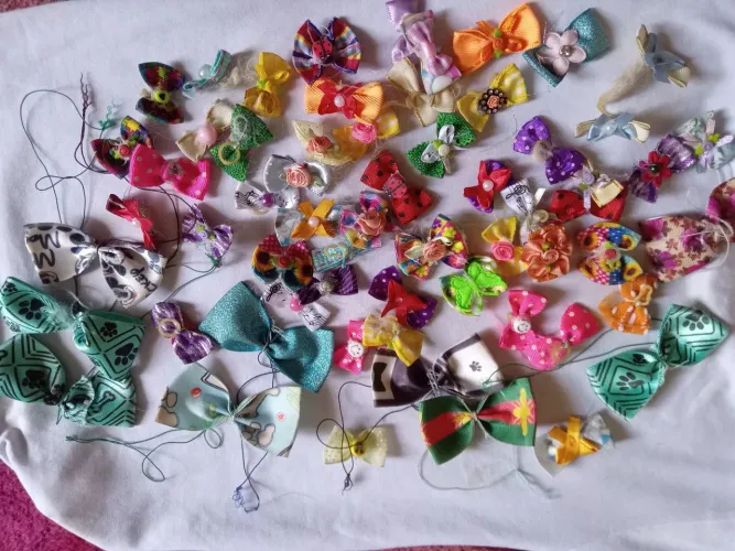 Vendo 63 laços de ceda de cachorro preço 60,00
