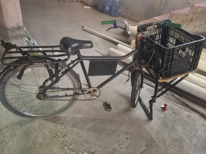 Bicicleta Cargueira