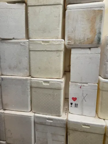 Queima Caixas Isopor 120L, 60L, 35L, 30L , qualquer uma 30,00L