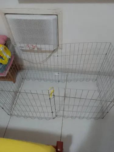 Cercadinho para cães filhotes