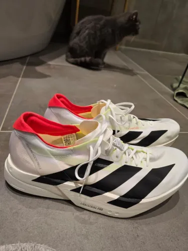 Tenis no atacado