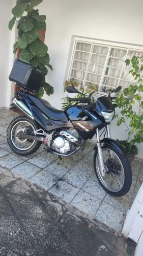 Honda NX-4 Falcon