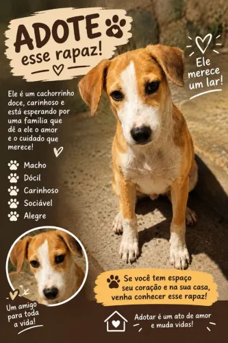 Adoção