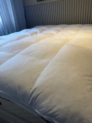 Pillow top pluma ganso