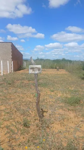 Terreno 