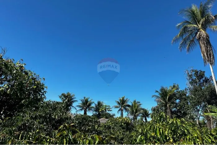 VENDE-SE, UM SITÍO DE CAFÉ EM ITAMARAJU BAHIA